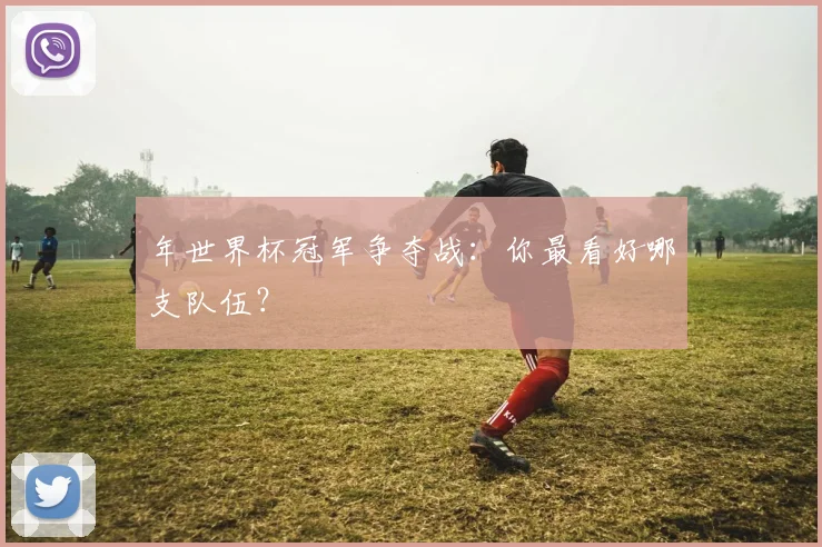 年世界杯冠军争夺战:你最看好哪支队伍?