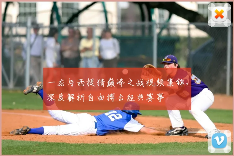 一龙与西提猜巅峰之战视频集锦，深度解析自由搏击经典赛事