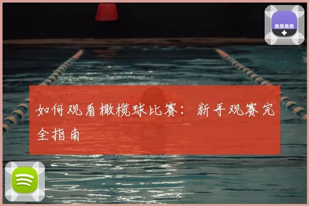 如何观看橄榄球比赛:新手观赛完全指南