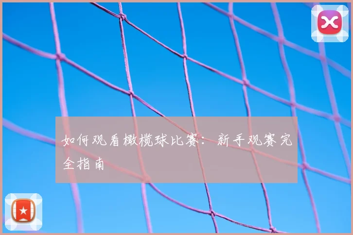 如何观看橄榄球比赛：新手观赛完全指南