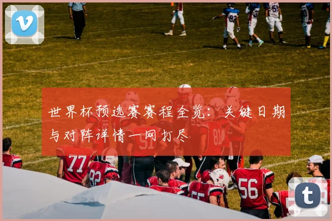 世界杯预选赛赛程全览:关键日期与对阵详情一网打尽