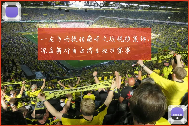 一龙与西提猜巅峰之战视频集锦，深度解析自由搏击经典赛事